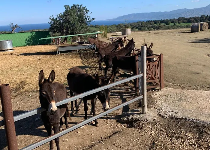 Dom wakacyjny Sunset View